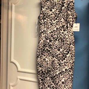 NWT Calvin Klein scuba leopard dress.